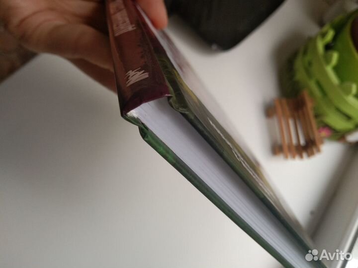 Дневник Стива Конек квадратноног