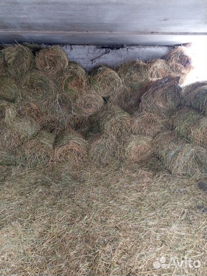 Сено люцерны