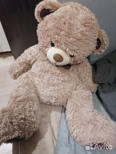 Плюшевый медведь