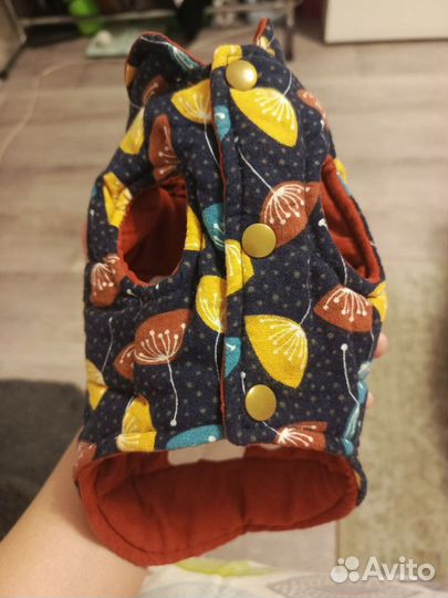 Куртка для собак мелких пород и шлейка