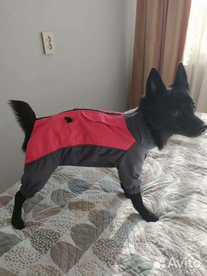 Дождевик для собак rungo 33