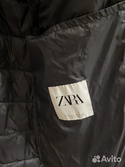 Zara новое