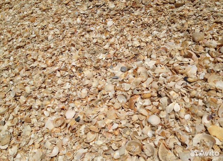 Ракушка кормовая кальциевая морская для с/х птиц