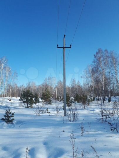 Участок 32 сот. (СНТ, ДНП)