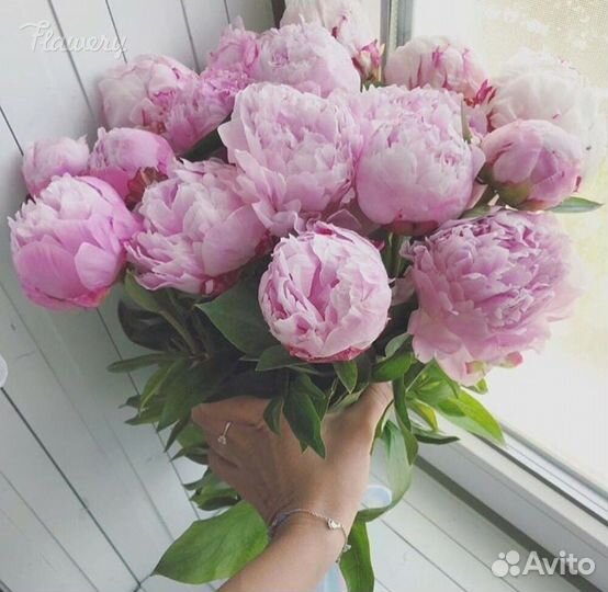 Букет пионов