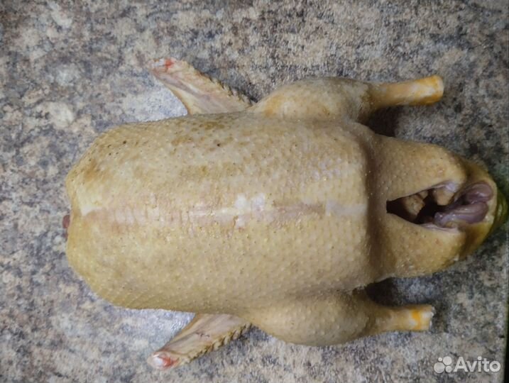 Утки муларды