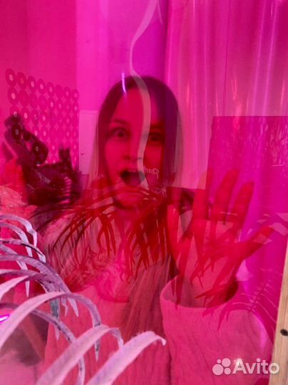 Телеграм канал, продвижение, консультация, смм