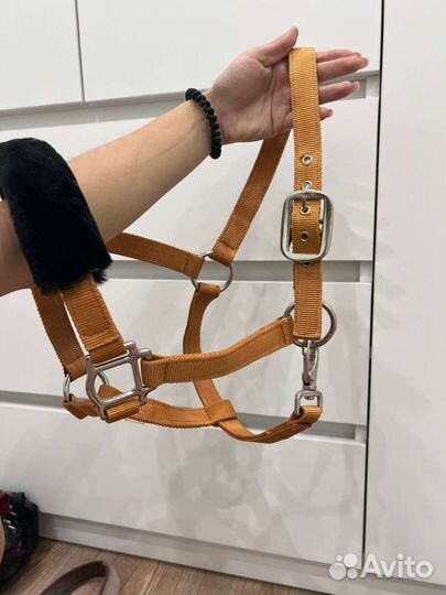 Амуниция для лошади