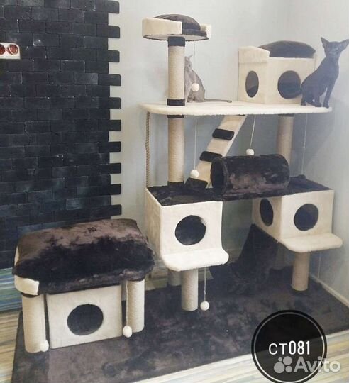 Большие котокомплексы, когтеточки