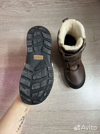 Зимние ботинки Ugg