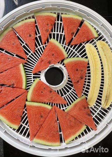 Сушилка для овощей и фруктов Волтера 1000 люкс