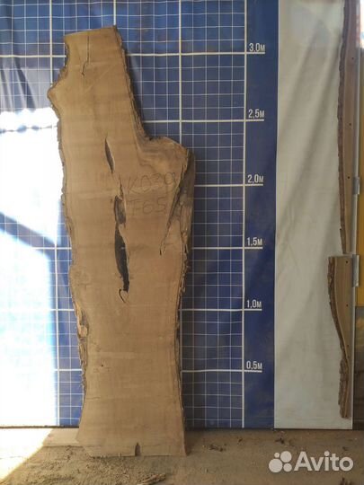 Слэбы из дерева слэб карагач слеб дуба спил орех