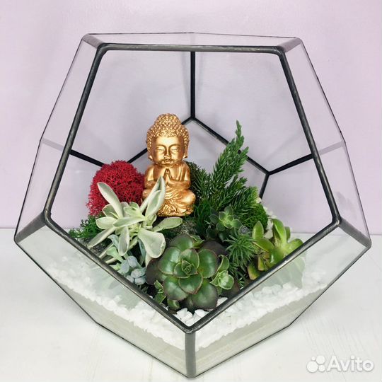 Флорариум с живыми растениями