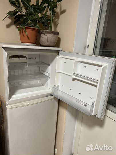 Холодильник sharp SJ-24G