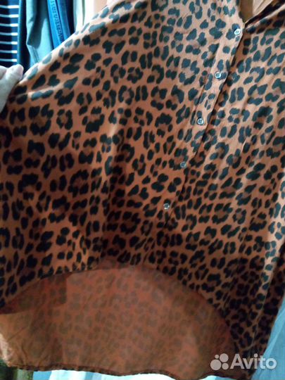 Одежда Италия 54 56 размнр