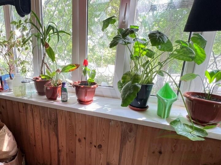 2-к. квартира, 40,7 м², 1/5 эт.