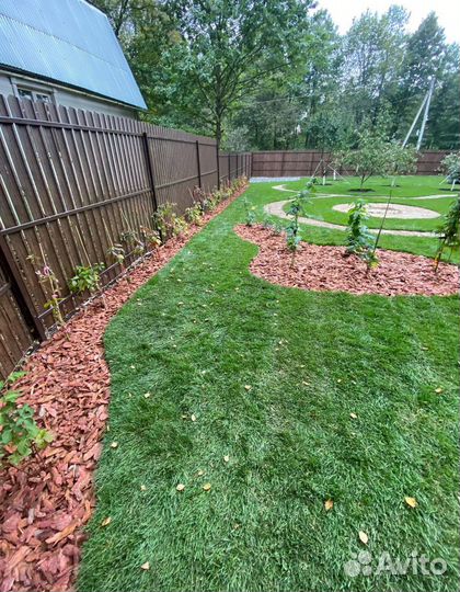 Рулонный газон / под ключ