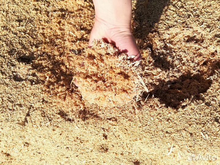 Опилки для мульчирования