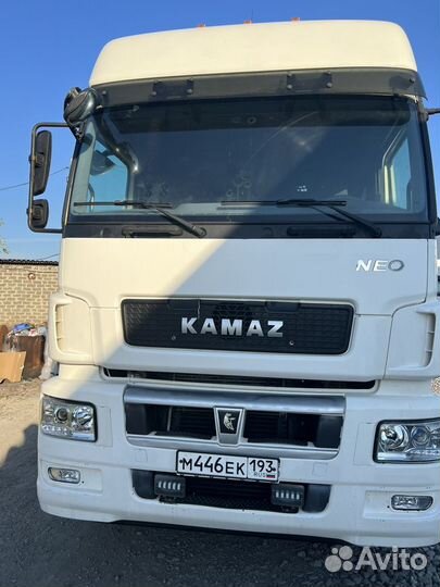 КамАЗ 5490 NEO, 2017