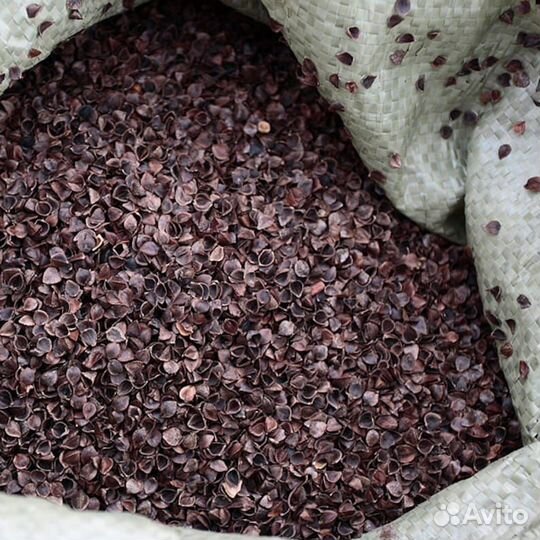 Лузга гречихи