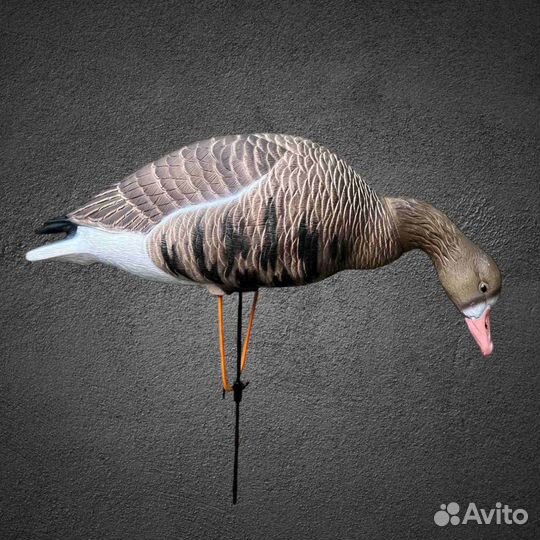 Чучела гусей белолобый Аvian-MIX 3D Oskar Decoys