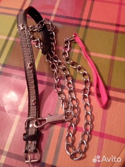 Ошейник и поводок для собак