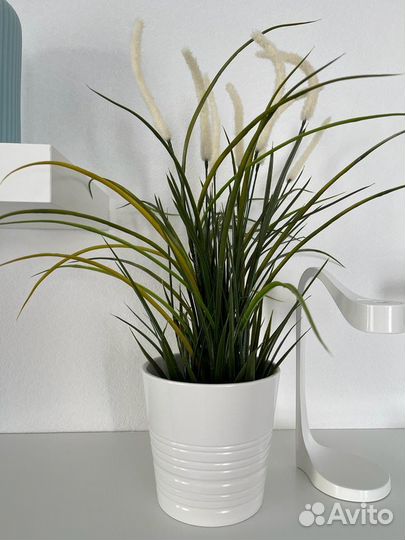 Искусственные растения IKEA