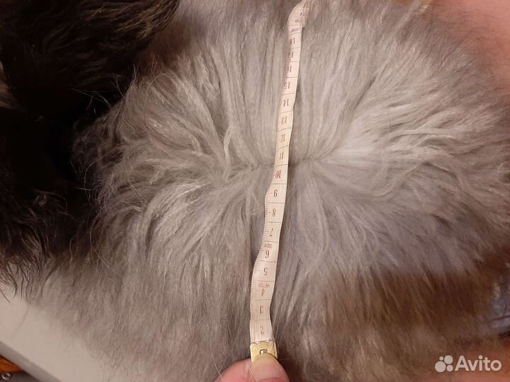 Пух кролика немецкая ангора