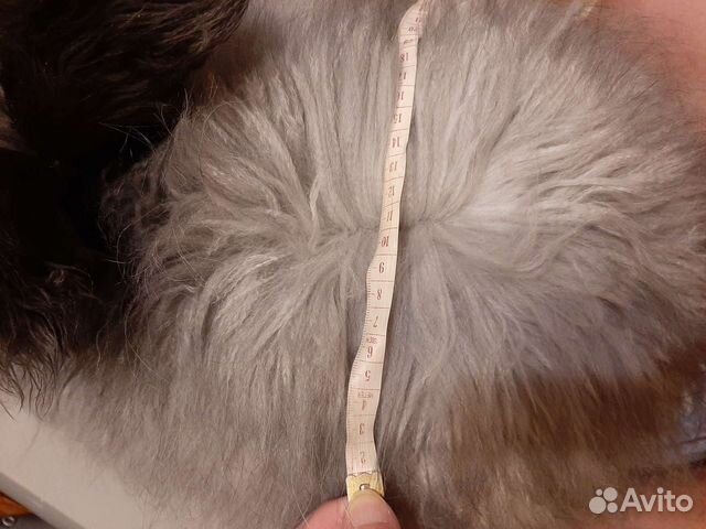 Пух кролика немецкая ангора