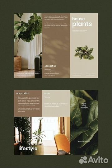 Веб - дизайн, графический дизайн