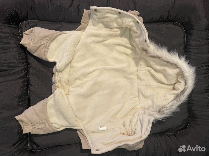 Одежда для собак