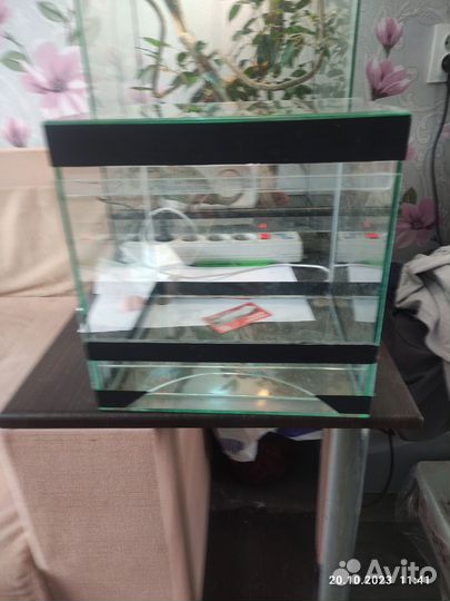 Террариум для паука