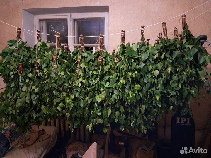 Продам веники березовые