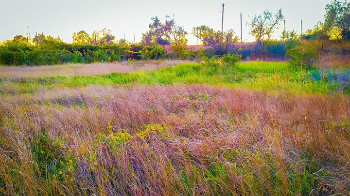 Участок 9 сот. (ИЖС)