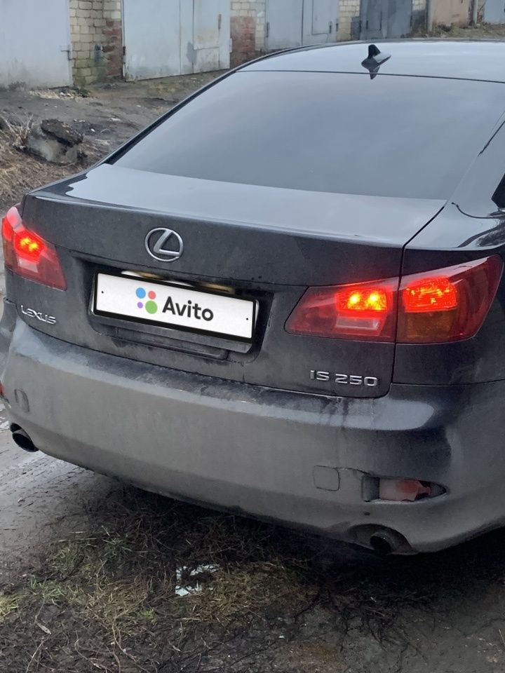 Lexus IS: фото владельца