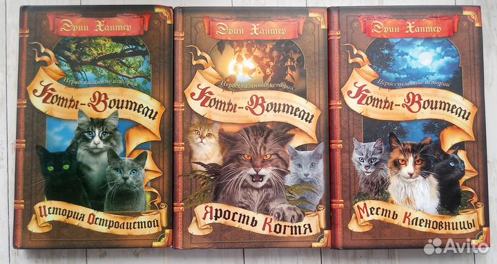 Книги коты Воители