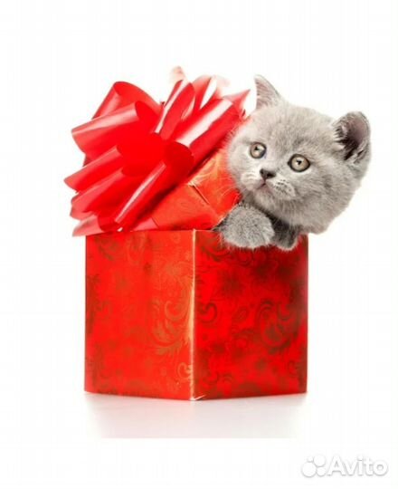 Женское нижнее белье