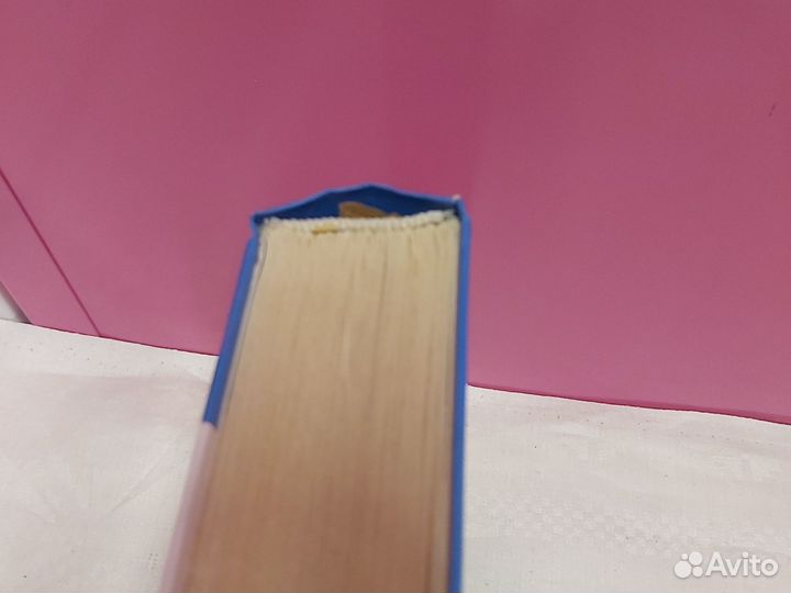 Крапивин Дагги-Тиц Отцы основатели