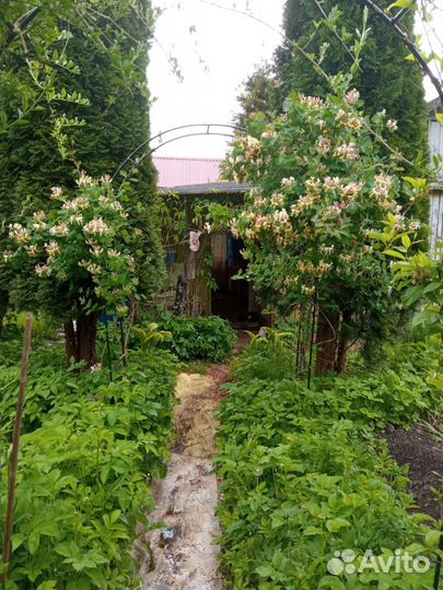 Арка садовая