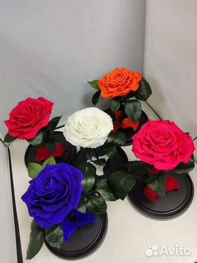 Роза в колбе оптом