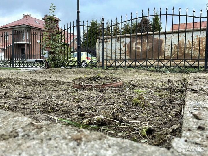 Рулонный газон 