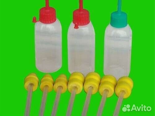 Искусственное осеменение свиней, семя хряка