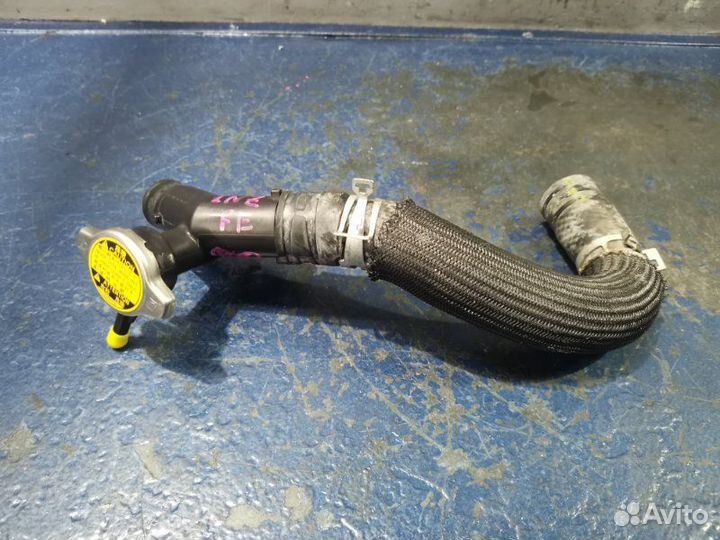 Заливная антифриза Toyota Probox NCP165