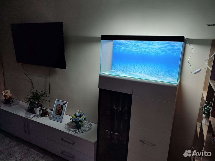 Аквариум 100л