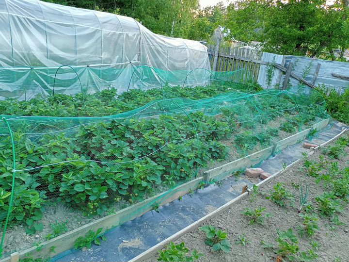 Дача 35 м² на участке 12 сот.