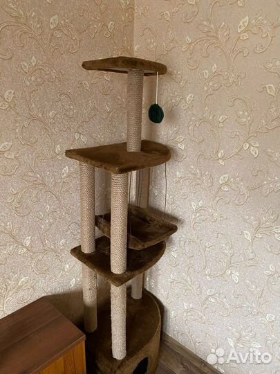 Домик для кошки