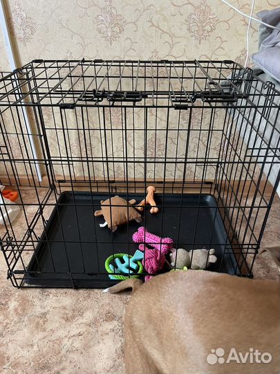 Клетка для животных бу