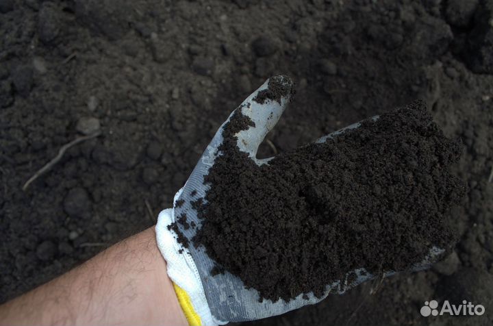 Плодородный грунт черный