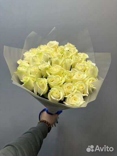 Цветы ромашки