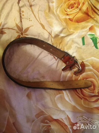 Ошейник для собак